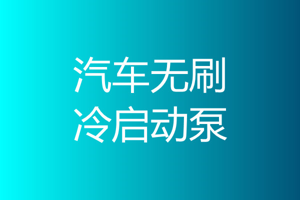 汽車無刷冷啟動(dòng)泵